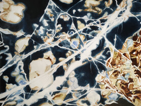 THE ORGANIC PAINTER - Malen mit Naturfarben